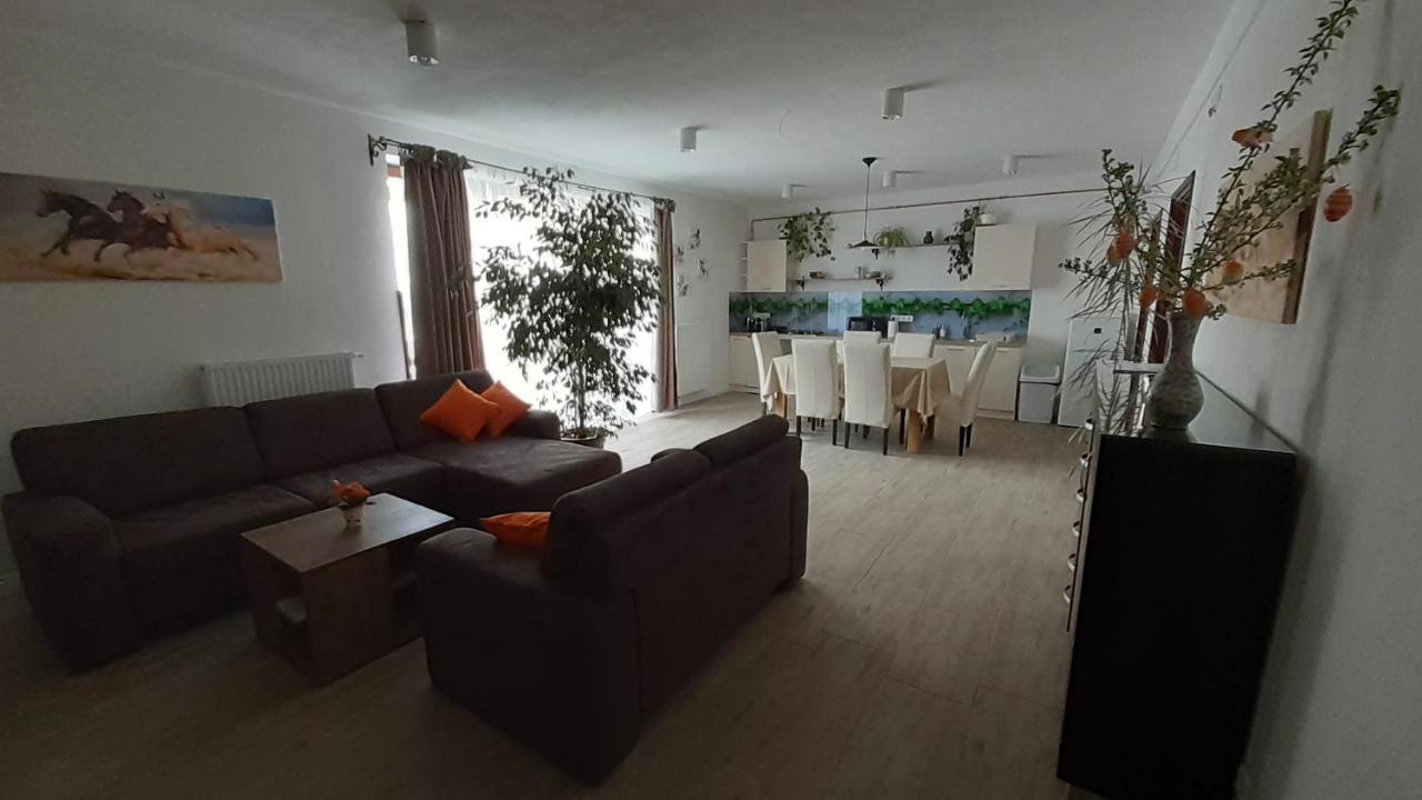 Bíbic Apartman A Kapolnasnyek Exteriér fotografie